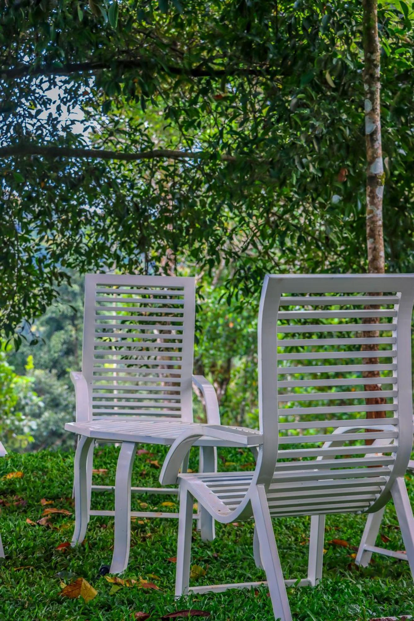 Winter Note Resorts Munnar Exteriér fotografie